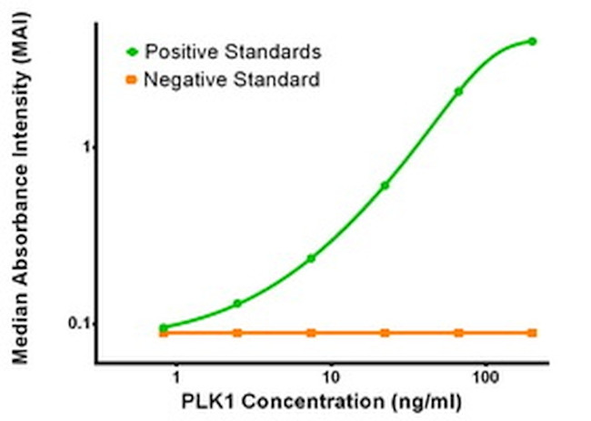 PLK1 Antibody in ELISA (ELISA)