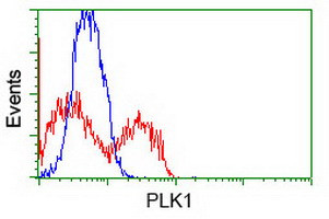 PLK1 Antibody in Flow Cytometry (Flow)