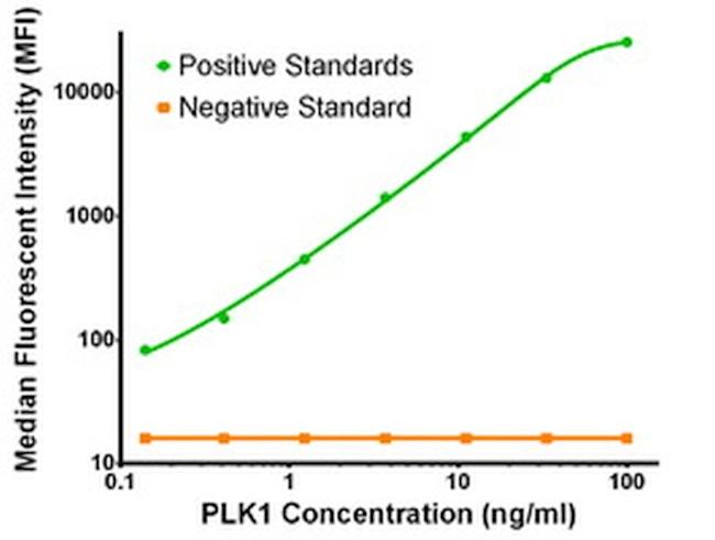 PLK1 Antibody in Luminex (LUM)