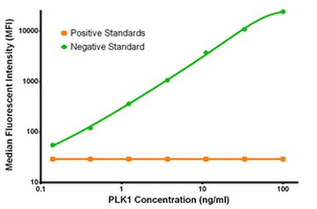 PLK1 Antibody in Luminex (LUM)