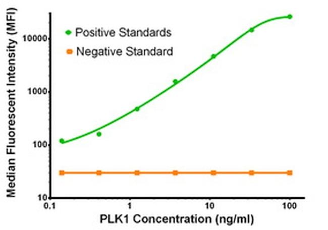 PLK1 Antibody in Luminex (LUM)