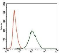 PLK1 Antibody in Flow Cytometry (Flow)