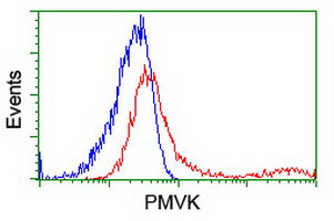 PMVK Antibody in Flow Cytometry (Flow)