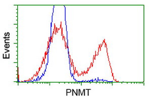 PNMT Antibody in Flow Cytometry (Flow)