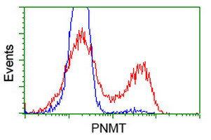 PNMT Antibody in Flow Cytometry (Flow)