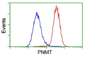 PNMT Antibody in Flow Cytometry (Flow)