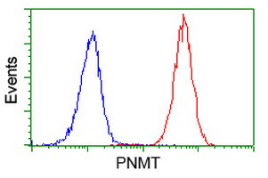 PNMT Antibody in Flow Cytometry (Flow)