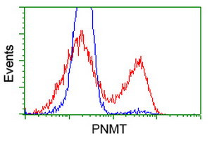 PNMT Antibody in Flow Cytometry (Flow)