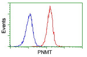 PNMT Antibody in Flow Cytometry (Flow)