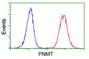 PNMT Antibody in Flow Cytometry (Flow)