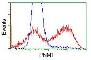 PNMT Antibody in Flow Cytometry (Flow)