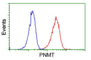 PNMT Antibody in Flow Cytometry (Flow)