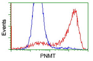 PNMT Antibody in Flow Cytometry (Flow)