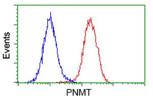 PNMT Antibody in Flow Cytometry (Flow)