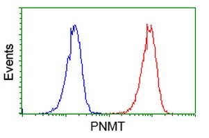 PNMT Antibody in Flow Cytometry (Flow)