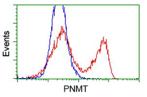 PNMT Antibody in Flow Cytometry (Flow)