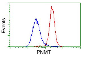 PNMT Antibody in Flow Cytometry (Flow)