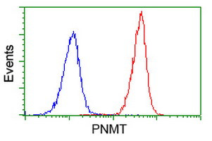 PNMT Antibody in Flow Cytometry (Flow)