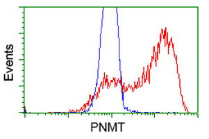 PNMT Antibody in Flow Cytometry (Flow)