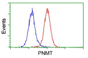 PNMT Antibody in Flow Cytometry (Flow)