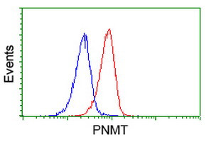 PNMT Antibody in Flow Cytometry (Flow)