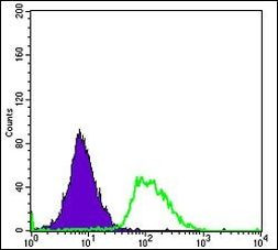 PODXL Antibody in Flow Cytometry (Flow)