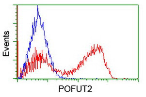 POFUT2 Antibody in Flow Cytometry (Flow)