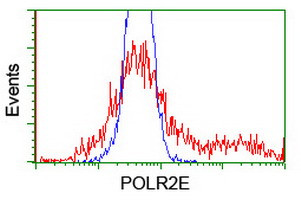 POLR2E Antibody in Flow Cytometry (Flow)