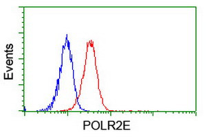 POLR2E Antibody in Flow Cytometry (Flow)