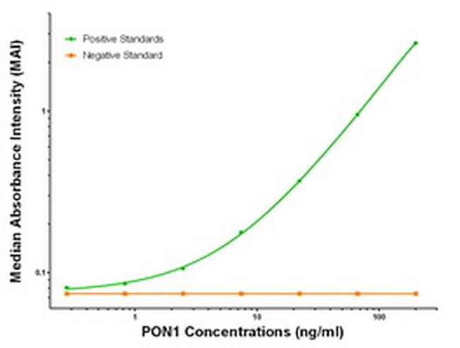 PON1 Antibody in ELISA (ELISA)