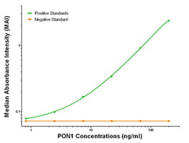 PON1 Antibody in ELISA (ELISA)