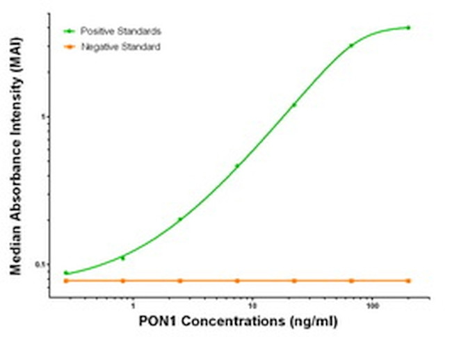 PON1 Antibody in ELISA (ELISA)