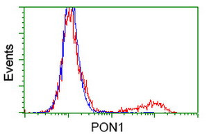 PON1 Antibody in Flow Cytometry (Flow)