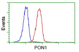 PON1 Antibody in Flow Cytometry (Flow)