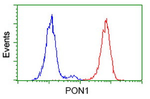 PON1 Antibody in Flow Cytometry (Flow)