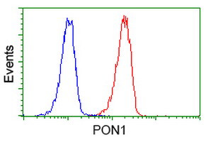 PON1 Antibody in Flow Cytometry (Flow)