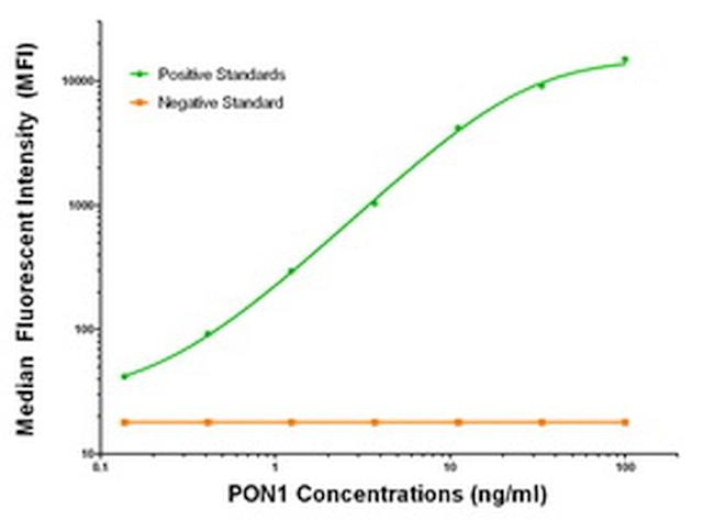 PON1 Antibody in Luminex (LUM)