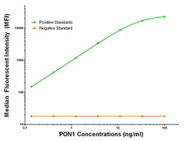 PON1 Antibody in Luminex (LUM)