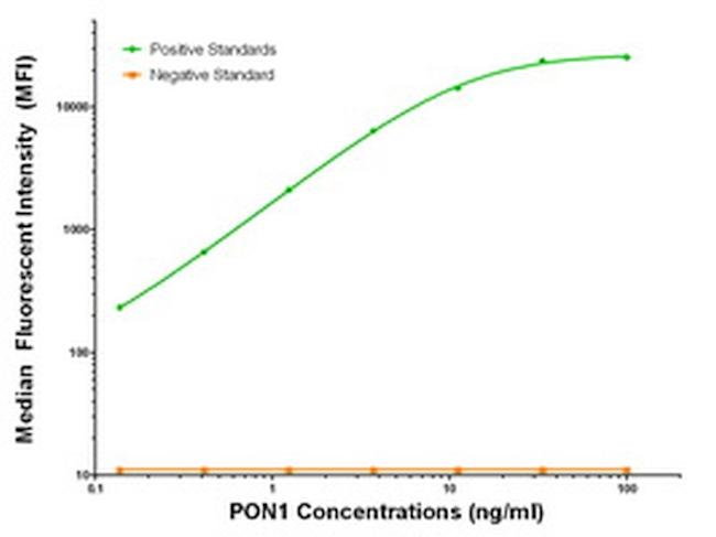 PON1 Antibody in Luminex (LUM)