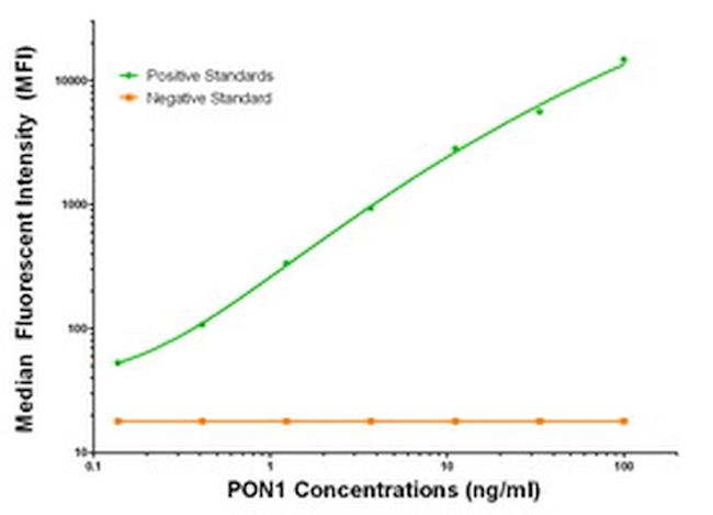 PON1 Antibody in Luminex (LUM)