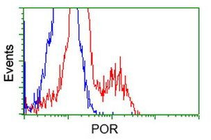 POR Antibody in Flow Cytometry (Flow)