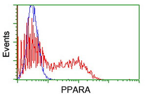 PPARA Antibody in Flow Cytometry (Flow)