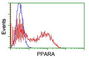 PPARA Antibody in Flow Cytometry (Flow)