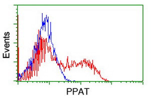 PPAT Antibody in Flow Cytometry (Flow)