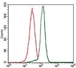 PPM1A Antibody in Flow Cytometry (Flow)