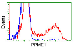 PPME1 Antibody in Flow Cytometry (Flow)