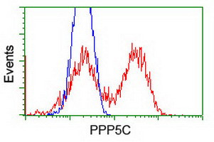 PPP5C Antibody in Flow Cytometry (Flow)