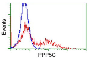 PPP5C Antibody in Flow Cytometry (Flow)