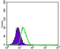 PPY Antibody in Flow Cytometry (Flow)