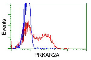 PRKAR2A Antibody in Flow Cytometry (Flow)